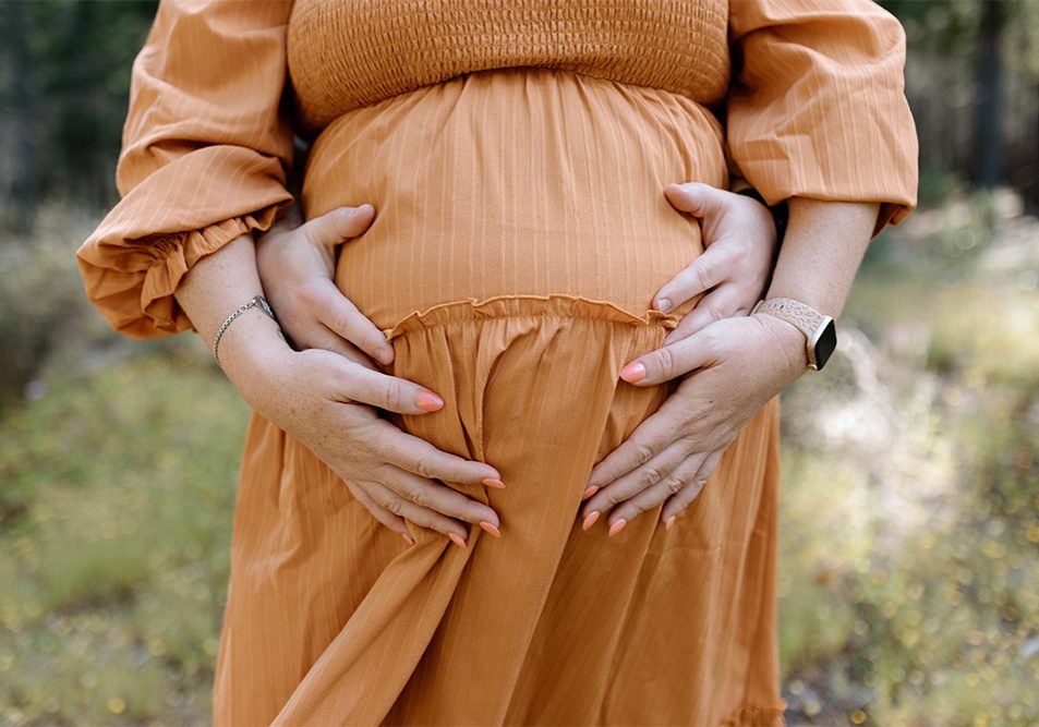 Maternity Photography with Maxwell Estate in Hendersonville